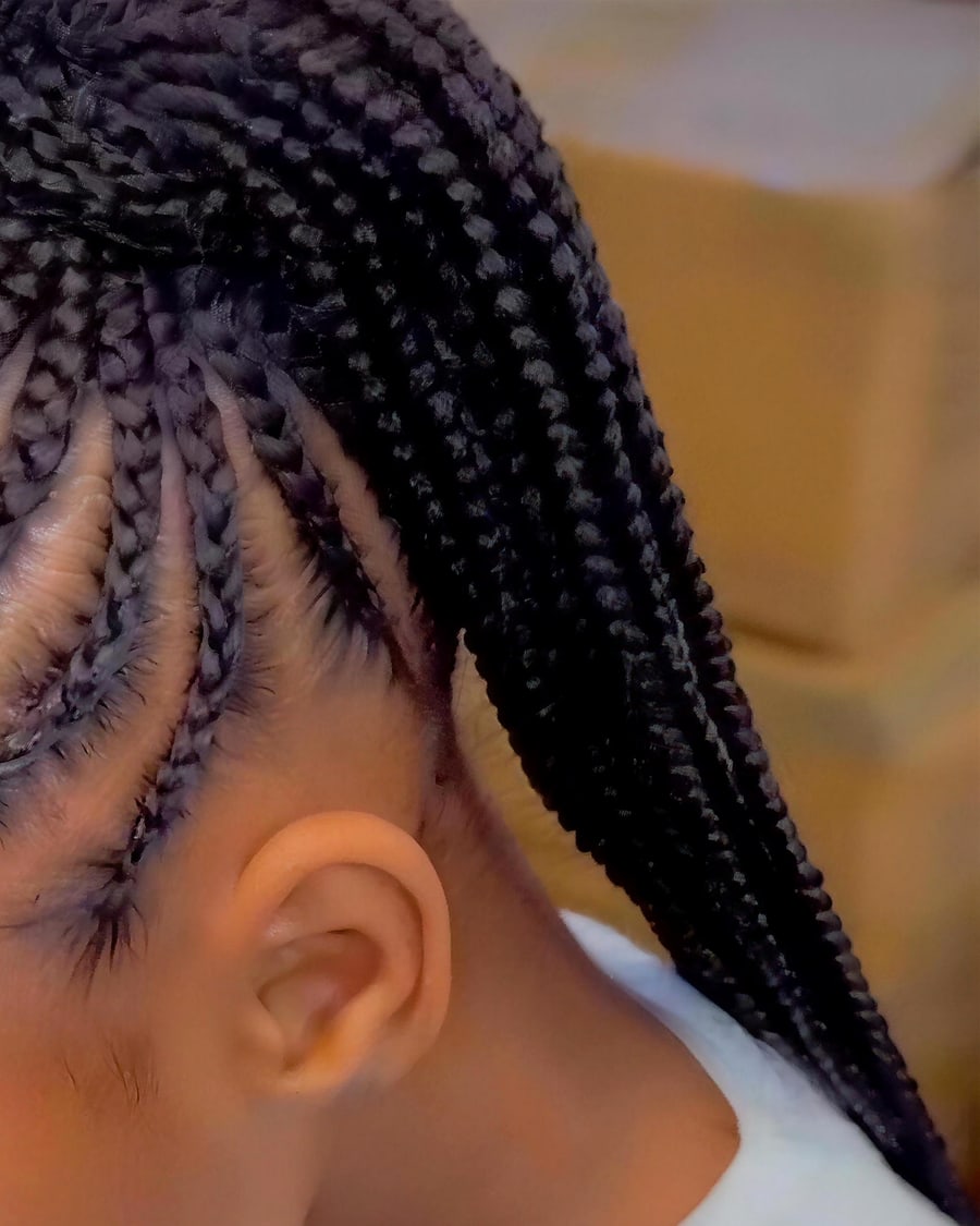 Feed-in cornrows flowing into a long braided ponytail, back view
